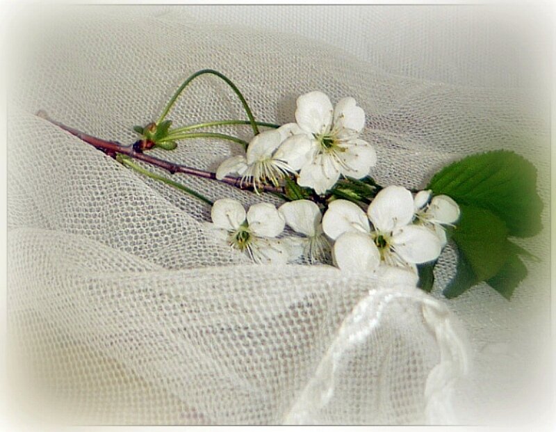 Татьяна Ельники