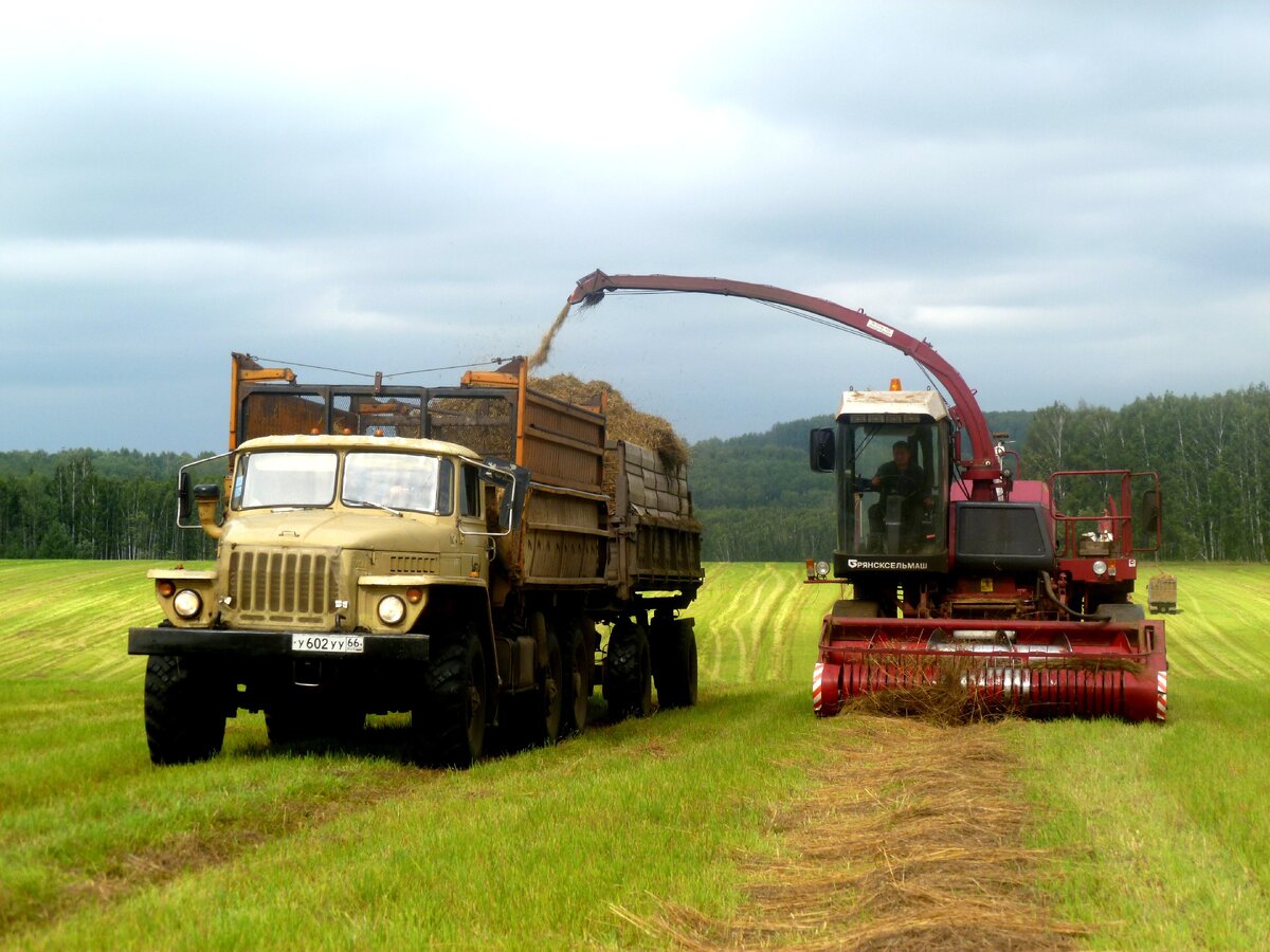 Фото Татьяны Костыревой