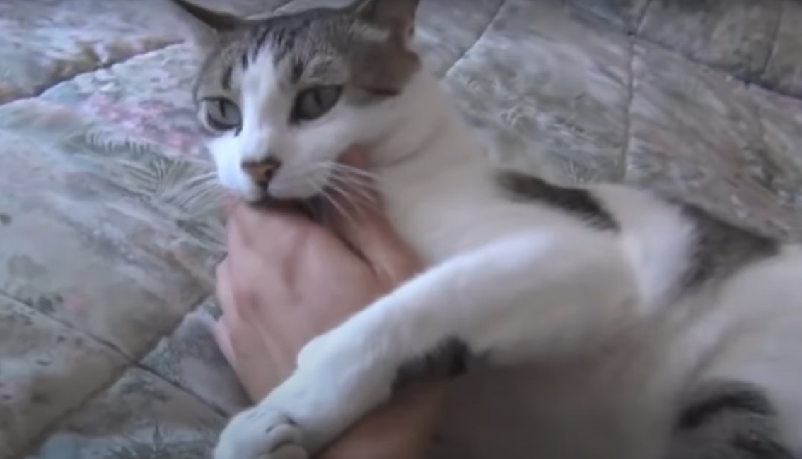 Отстань от меня!!!