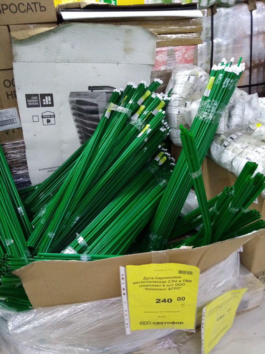 фото мои из светофора