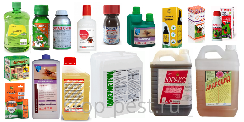 фото сайта https://stop-pest.ru/