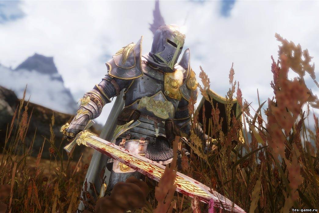 Мод на паладинов. Скайрим доспехи паладина. Skyrim моды Паладин. Скайрим мод Паладин. Скайрим рыцарь Паладин.