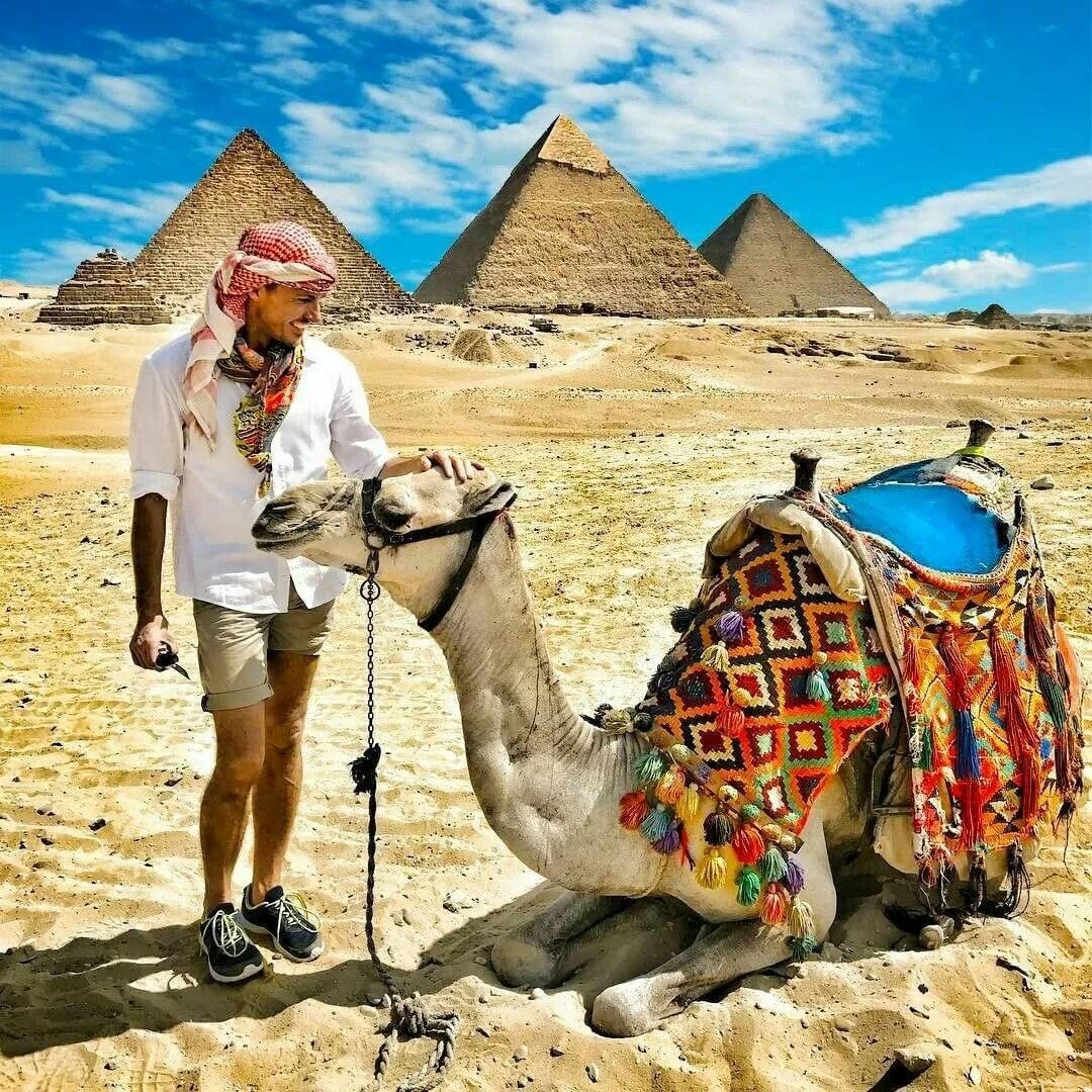 Туры в египет и цены