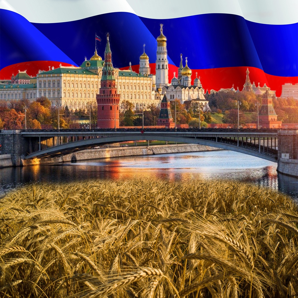 Иллюстрация авторская