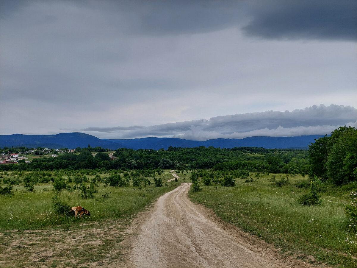 Фото автора