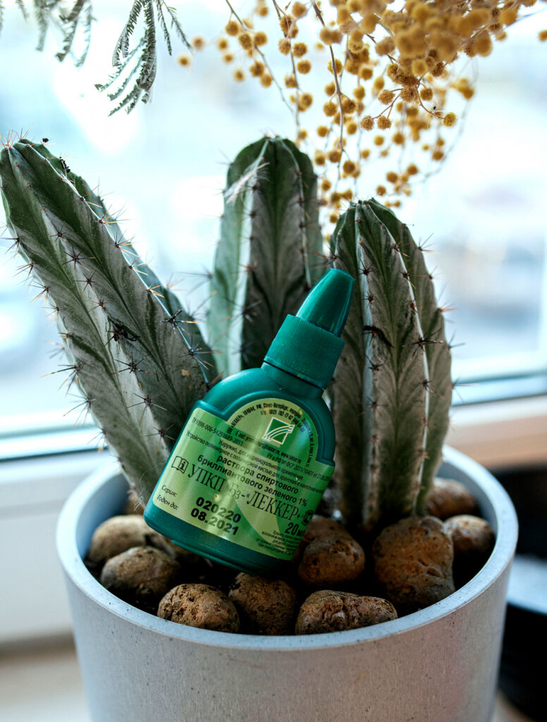 Зелёнка ЛЕККЕР+ с мягкой кисточкой  