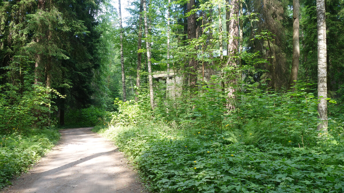 Вот так Мавзолей выглядит на расстоянии, наверное, не более 10-15 метров.