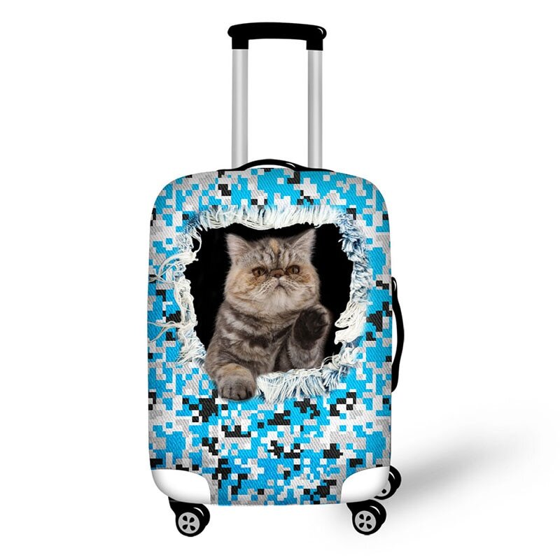 Кошка с чемоданом