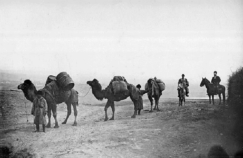 Старого каравана. Караваны в Монголии. Верблюд Караван Великий шелковый путь. Солдаты на верблюдах. Верблюды на войне.