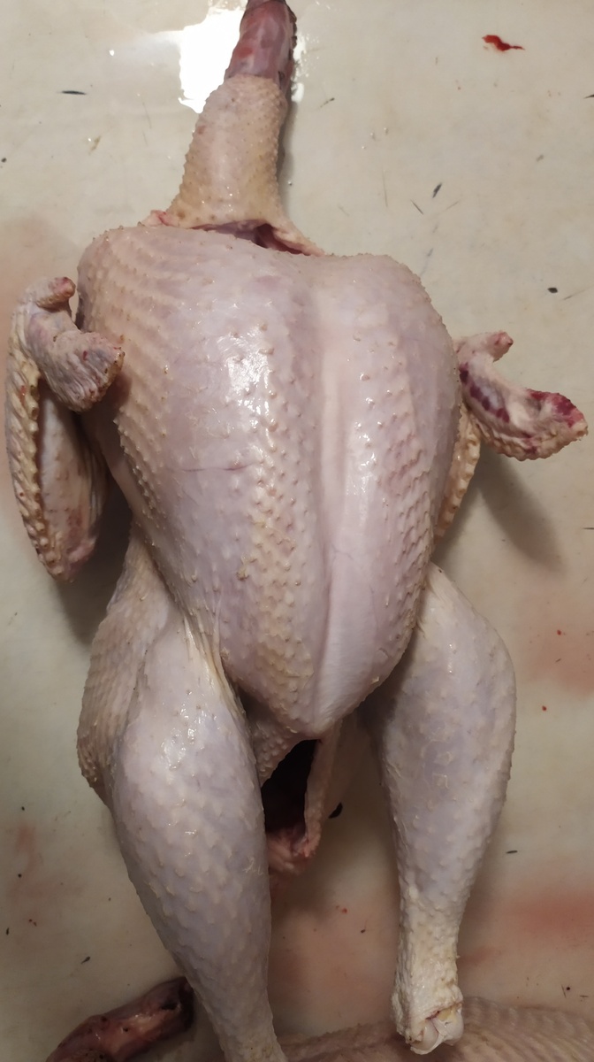 Индюки в этом году выросли небольшими но очень вкусными