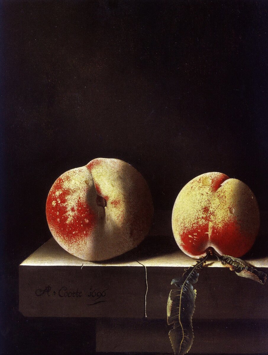 Адриан Корте, «Два персика», 1696, холст, масло, 27,9 х 22,8 см, частная коллекция