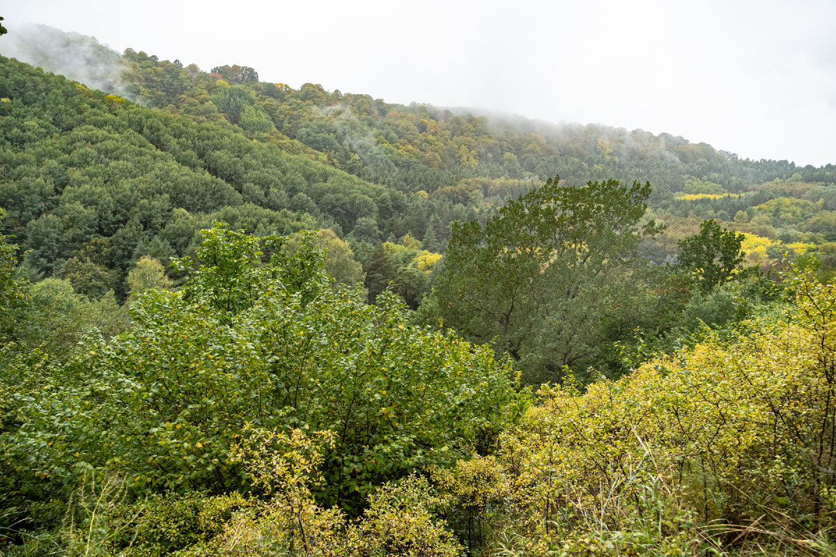 2. Пейзаж чуть ближе к низовьям ущелья.