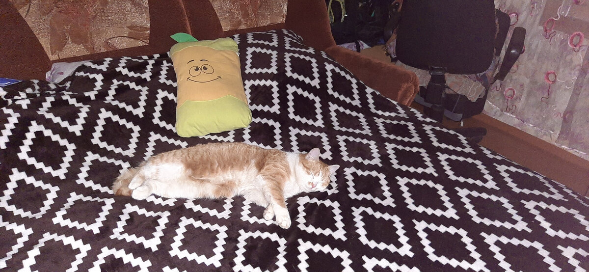 Рыжий любимка.