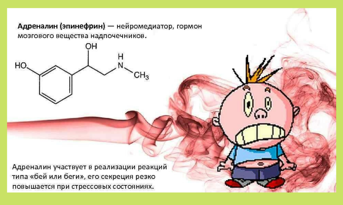 Адреналин гормон. Адреналин гормон стресса. Норадреналин это гормон стресса. Выделение адреналина. Адреналин повысился