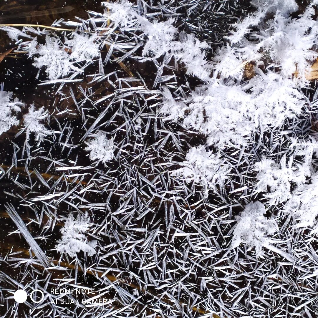 Внизу на Восточном входе встретился ручеёк. Весь в снежных цветочках ❄️❄️❄️