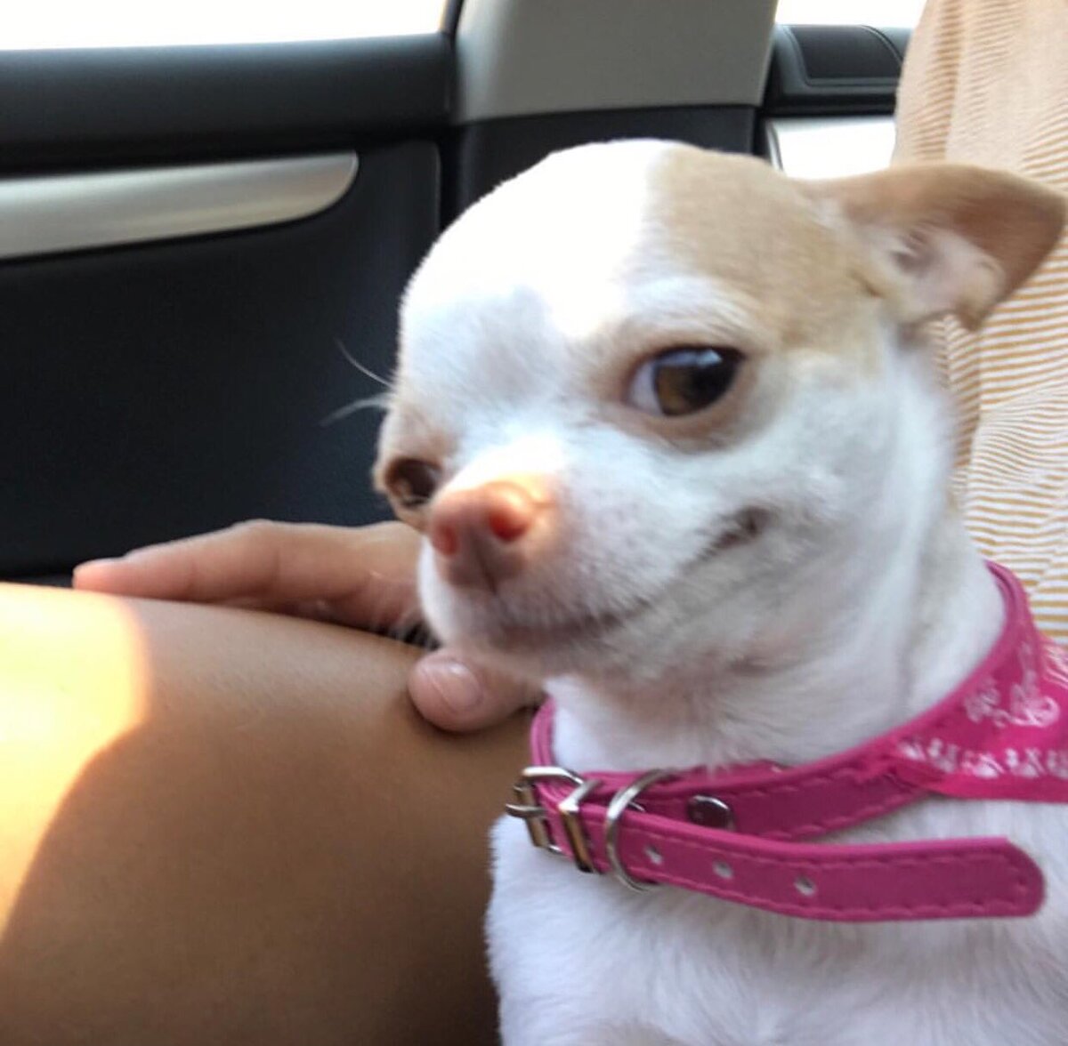 Источник фото: https://www.nairaland.com