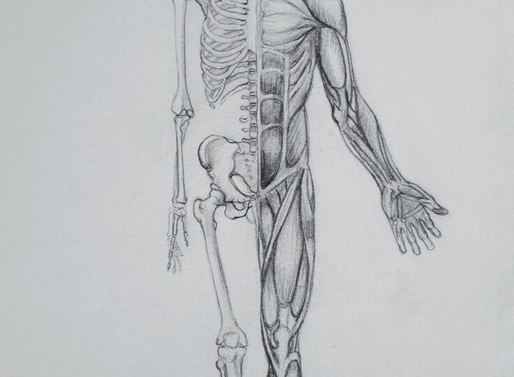 5 бесполезных частей тела человека