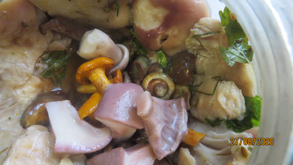 Фото Лидии Бам. Соленые летние грибы - не только сыроежки.