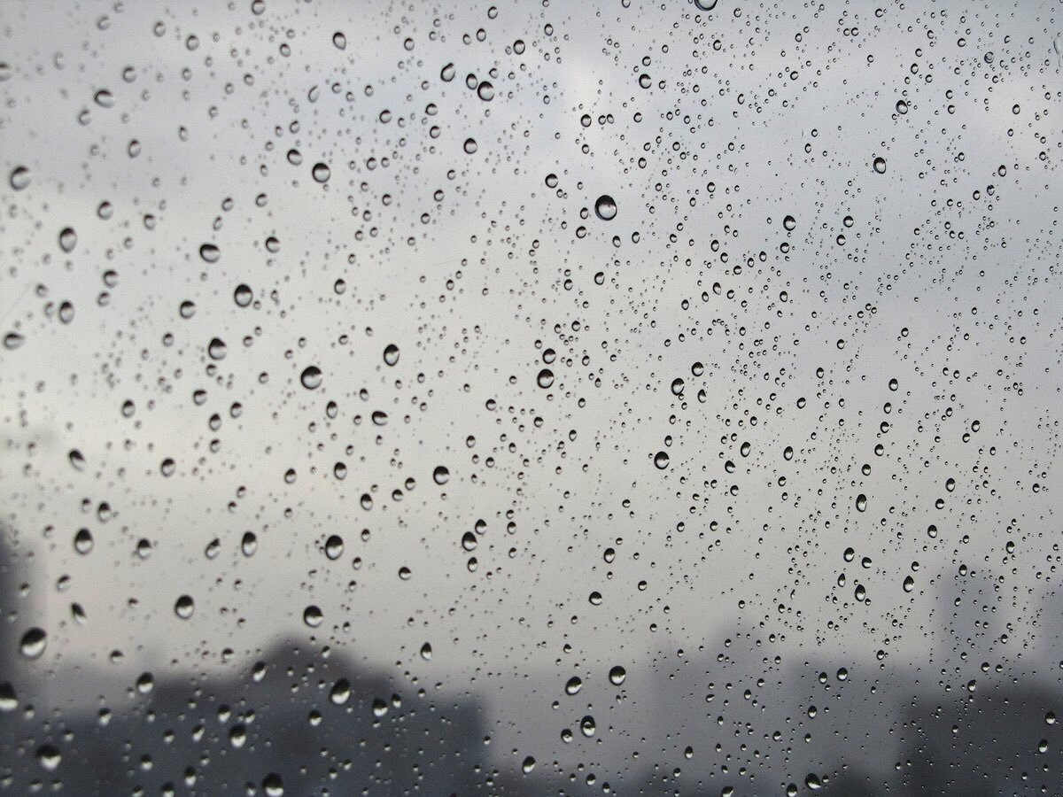 Яндекс Картинки.