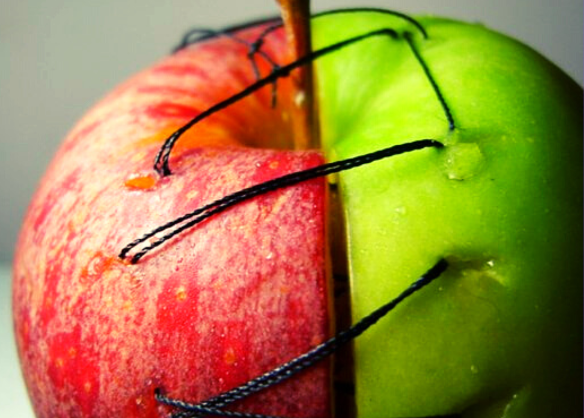 Половинка есть у яблока. Две половинки яблока. Яблоко пополам. Две половины яблока. Яблоко разрезанное пополам.