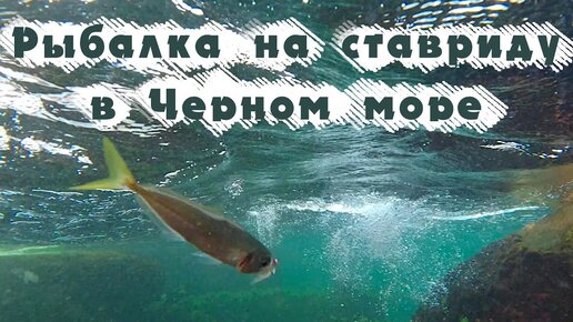 Рыбалка в черном море с лодки Ловля ставриды, селедки и луфаря на самодур. Часть 1. 4К видео