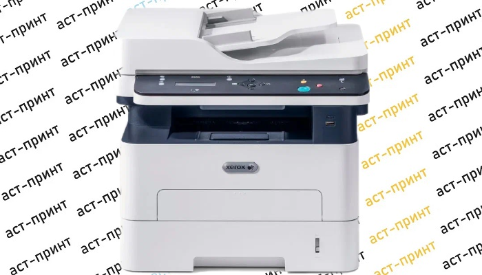 МФУ Xerox B205 