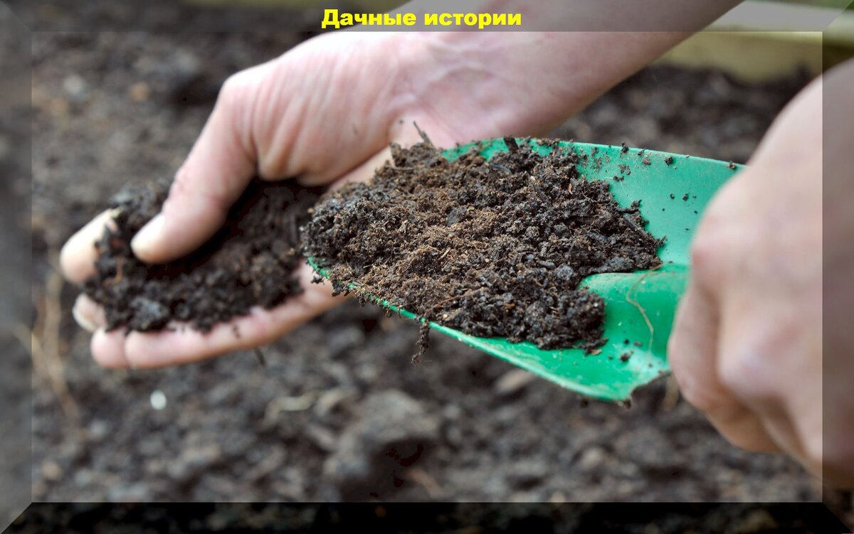 https://vk.com/photo-159774511_457253633