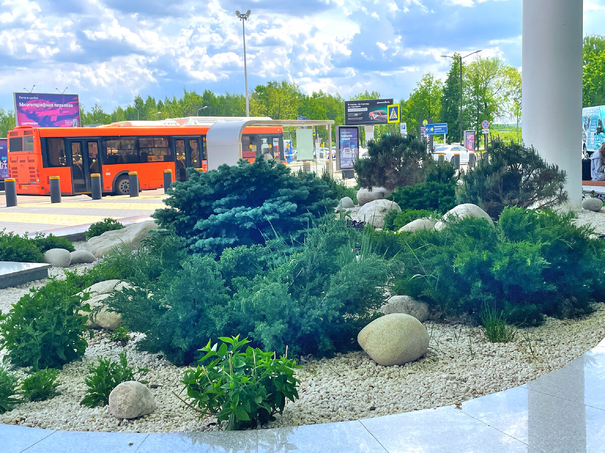 Кадр дурацкий, набегу снимала, но вы мне просто поверьте, что очень красивый мини-сад перед аэропортом насадили. И растения небанальные: можжевельники, папоротники. 