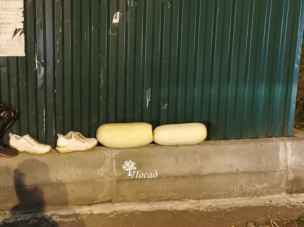 Докатились до помойки, видимо кто-то уже не смог.