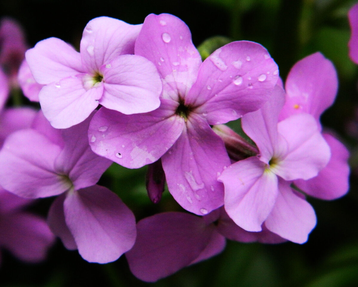 фото автора канала