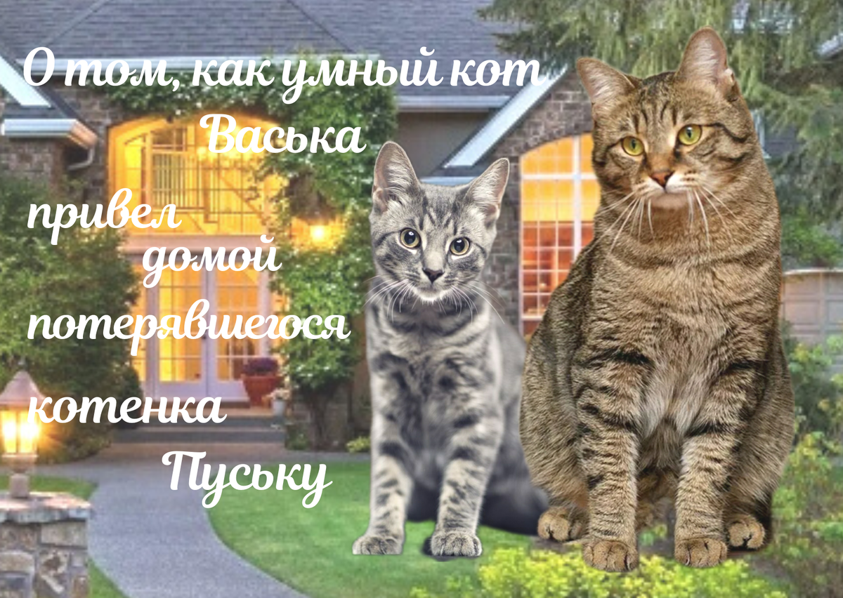 Как и полагается Ученому Коту, я люблю истории про котов. Сейчас расскажу вам одну - из Семейного Архива Ученого Кота (точнее - из детского дневника моей хозяйки)🐈🐈‍⬛