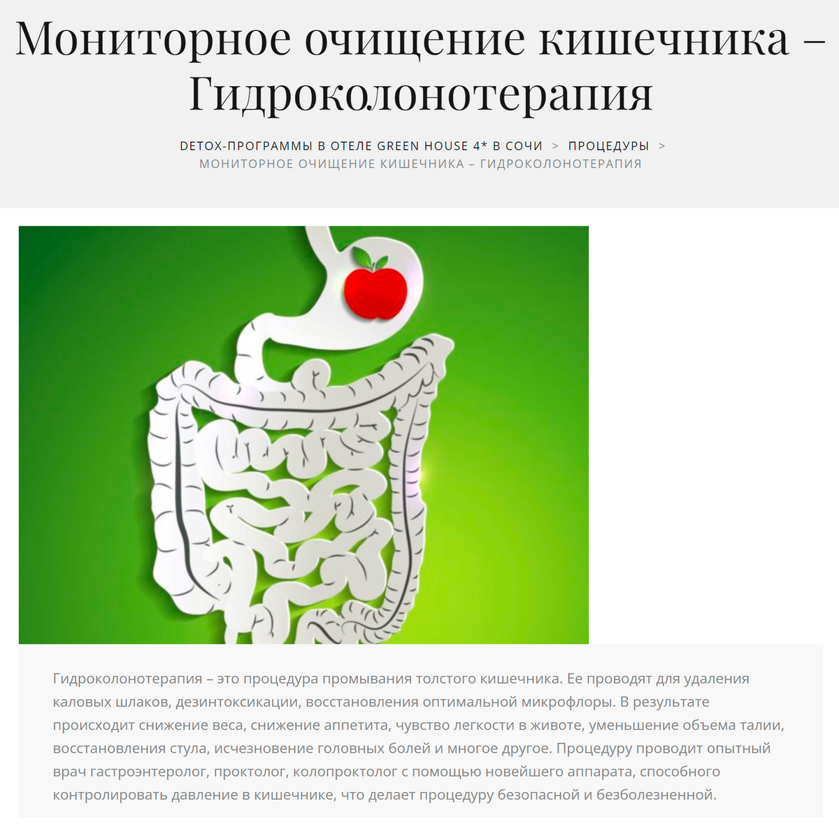 Прочистить кишечник и желудок от шлаков. Органы детокса. очищение кишечника от шлаков.