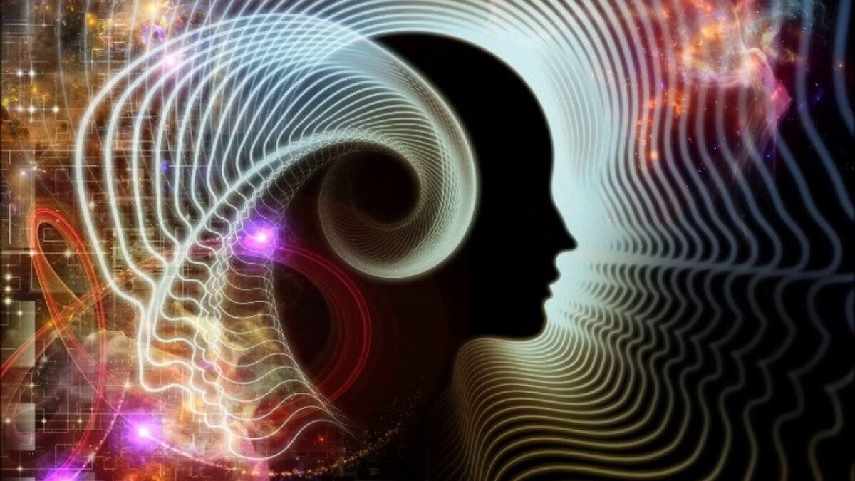 Наш мозг тот еще шутник