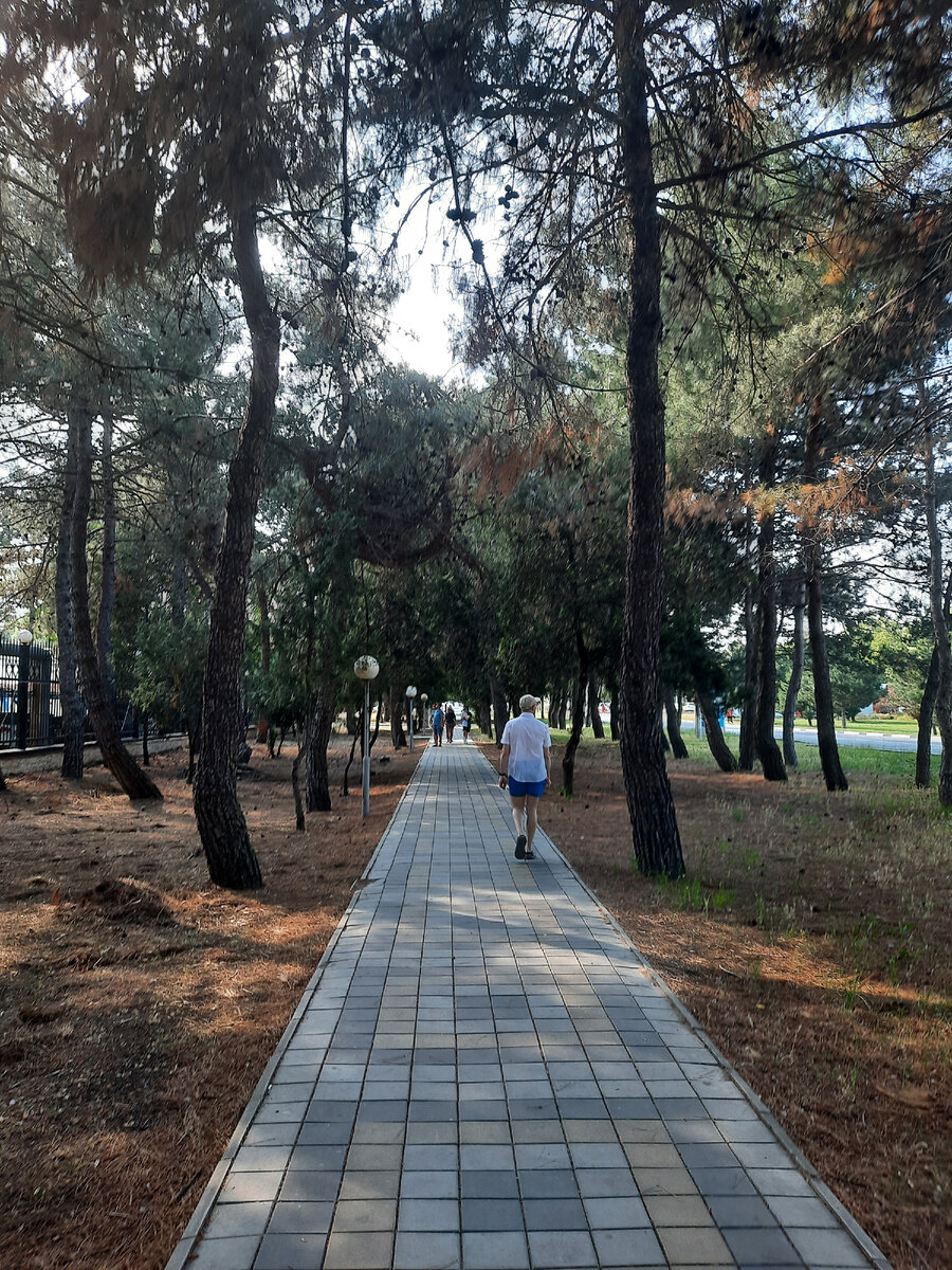 Пешеходная дорожка на Пионерском проспекте