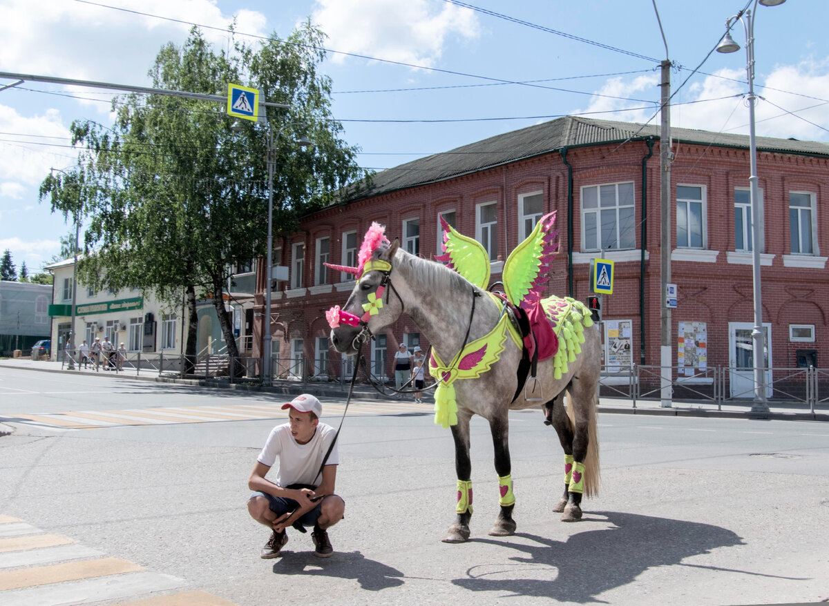 Волоколамск. День города 2022 | Михаил Никольский | Дзен