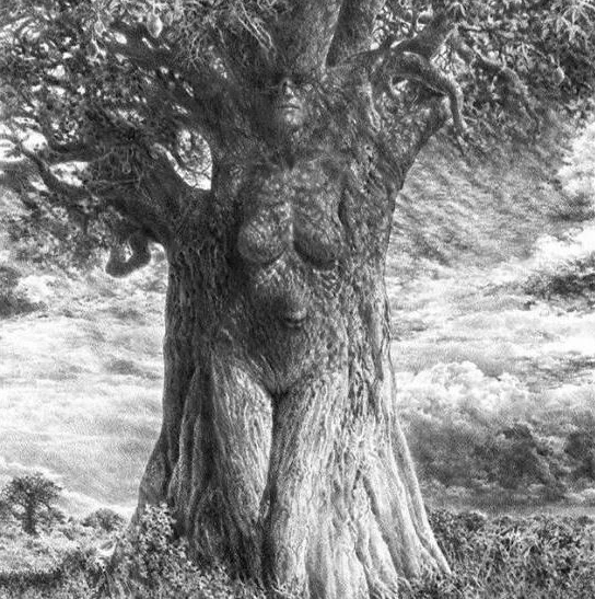 Изображение взято с открытых источников