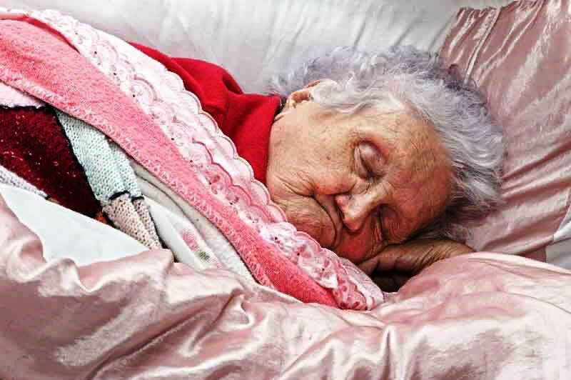 фото из интернета