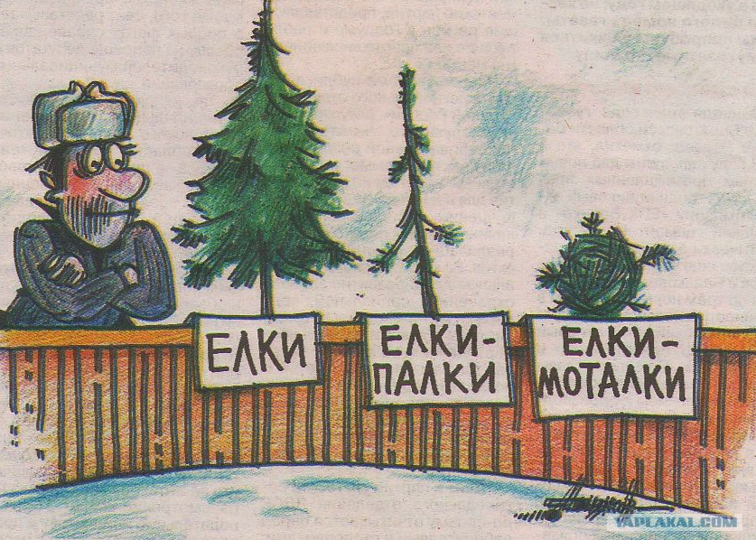 А ёлку кому? Свежепойманную!