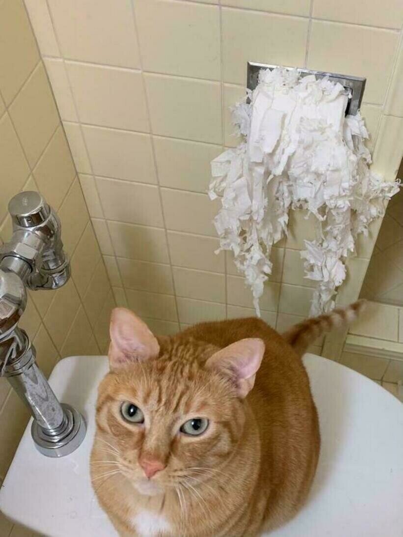 16 Ð·Ð°Ð±Ð°Ð²Ð½ÑÑ ÑÐ½Ð¸Ð¼ÐºÐ¾Ð² Ð¿Ð¸ÑÐ¾Ð¼ÑÐµÐ², ÐºÐ¾ÑÐ¾ÑÑÐµ Ð¸ÑÐºÑÐµÐ½Ð½Ðµ Ð½Ðµ Ð¿Ð¾Ð½Ð¸Ð¼Ð°ÑÑ, Ð·Ð° ÑÑÐ¾ Ð¸Ñ ÑÑÐ³Ð°ÑÑ