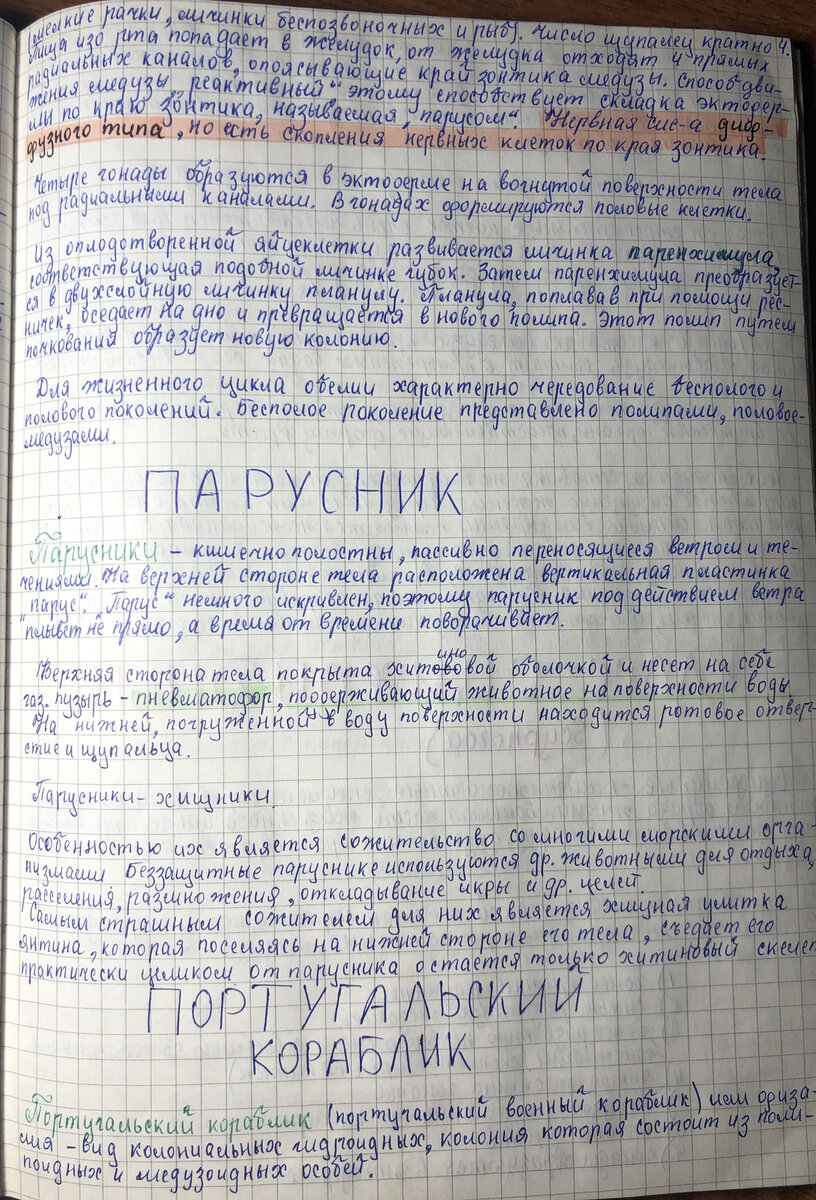 Секреты блестящей подготовки к ОГЭ/ЕГЭ по БИОЛОГИИ 2023 от легендарного  репетитора. Зоология (1 часть). Присоединяйся! | Репетитор-профессионал  Богунова В.Г. | Дзен