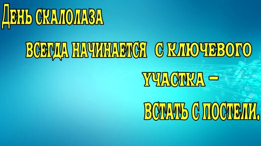 ХОРОШИЙ СЕКС- Шуточные стихи о сексе, эротические приколы- Афоризмы- КВАнт- ХОХМОДРОМ