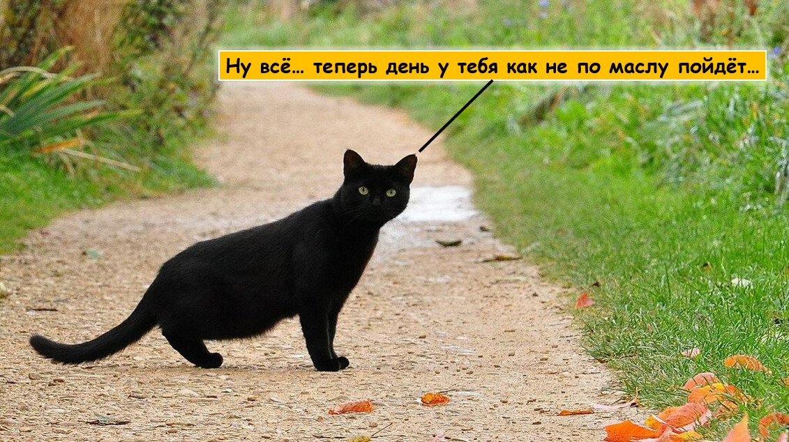 Источник фото: Яндекс картинки