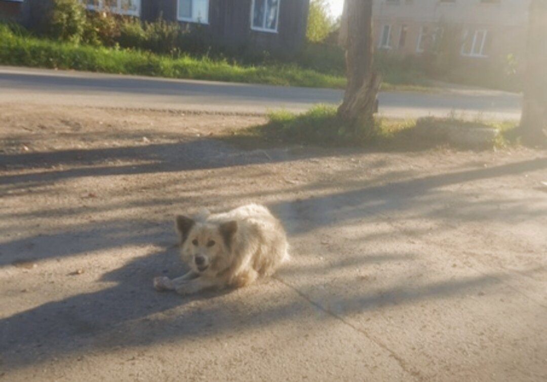 Ты кто?