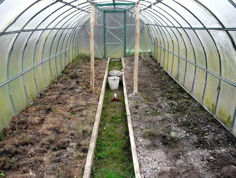 Фотография взята из источника sportkp.ru