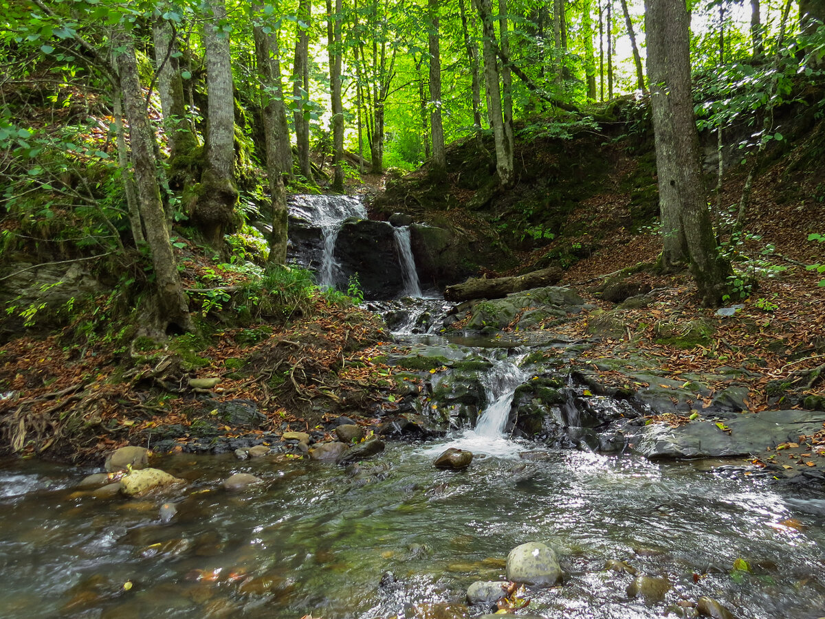 Слияние Оселкового ручья с рекой Жёлобной. 