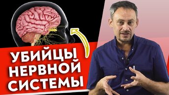 7 убийц мозга и нервной системы. Как улучшить работу мозга?