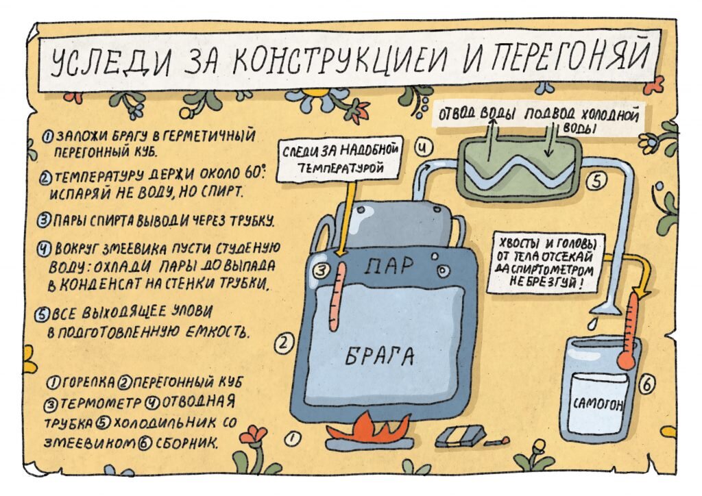Иллюстрация: Алена Бочарова