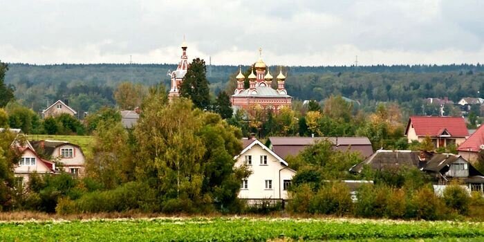 Панорама деревни Большое Свинорье. Фото из интернета 