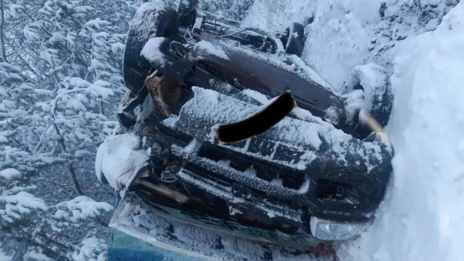   Автор фото: пресс-служба ГУ МВД по Воронежской области