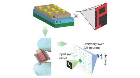 Исследователи разработали систему на основе оксида никеля, которая демонстрирует обучаемость и легко реализуется в массивах RRAM. Источник. 